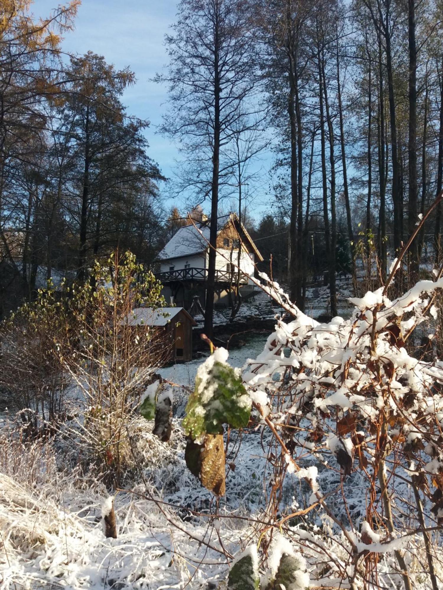 Trzy Strumyki Ferienhaus Kąty Bystrzyckie