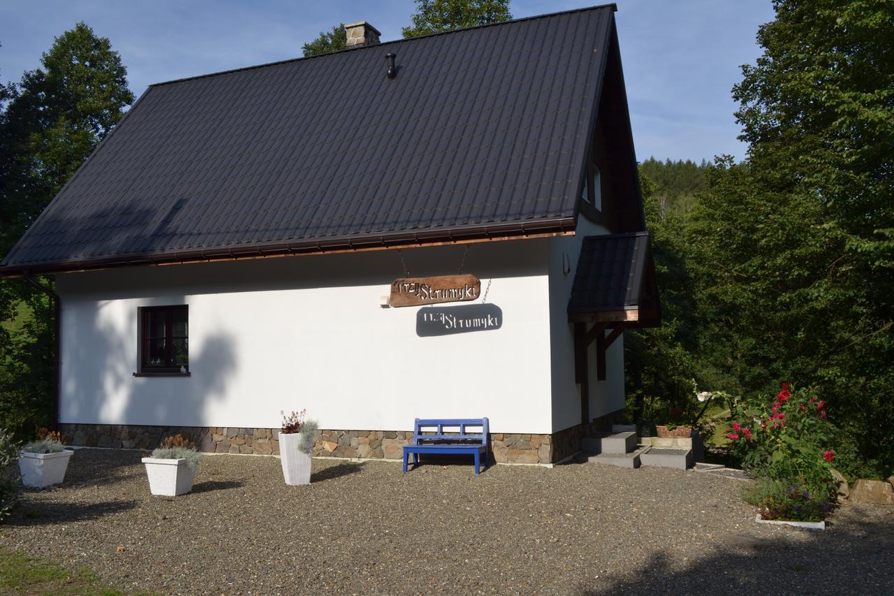 Trzy Strumyki Ferienhaus Kąty Bystrzyckie