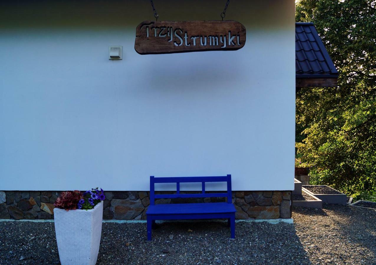 Trzy Strumyki Ferienhaus *