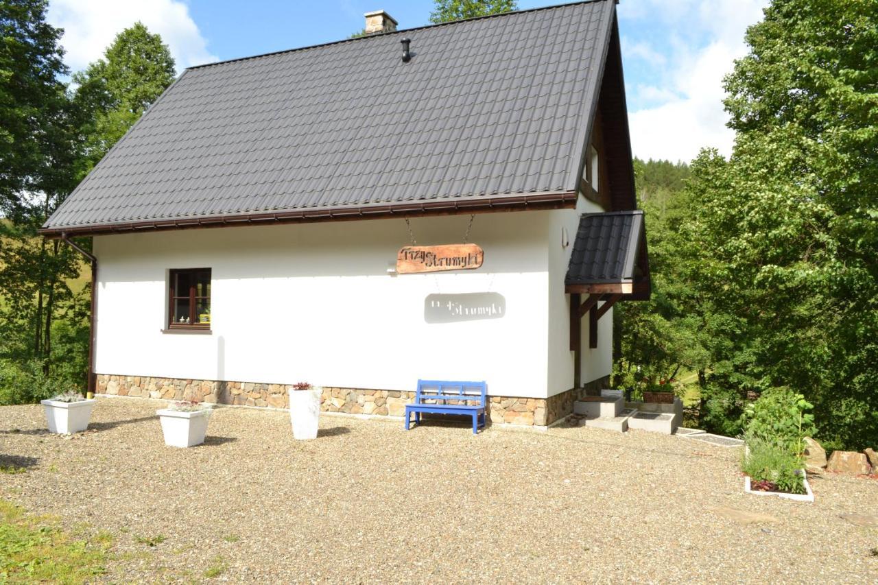 Ferienhaus Trzy Strumyki