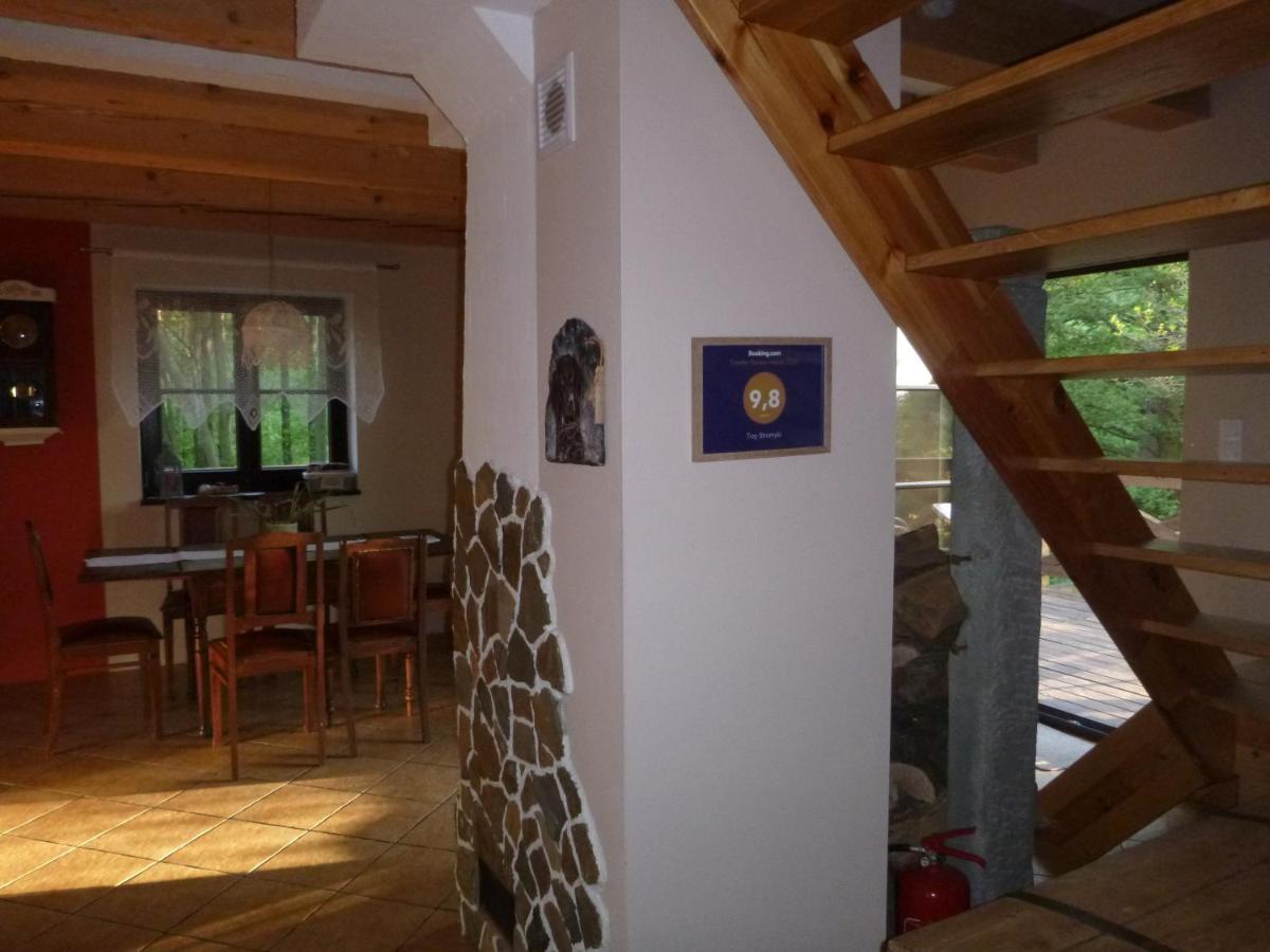 Ferienhaus Trzy Strumyki
